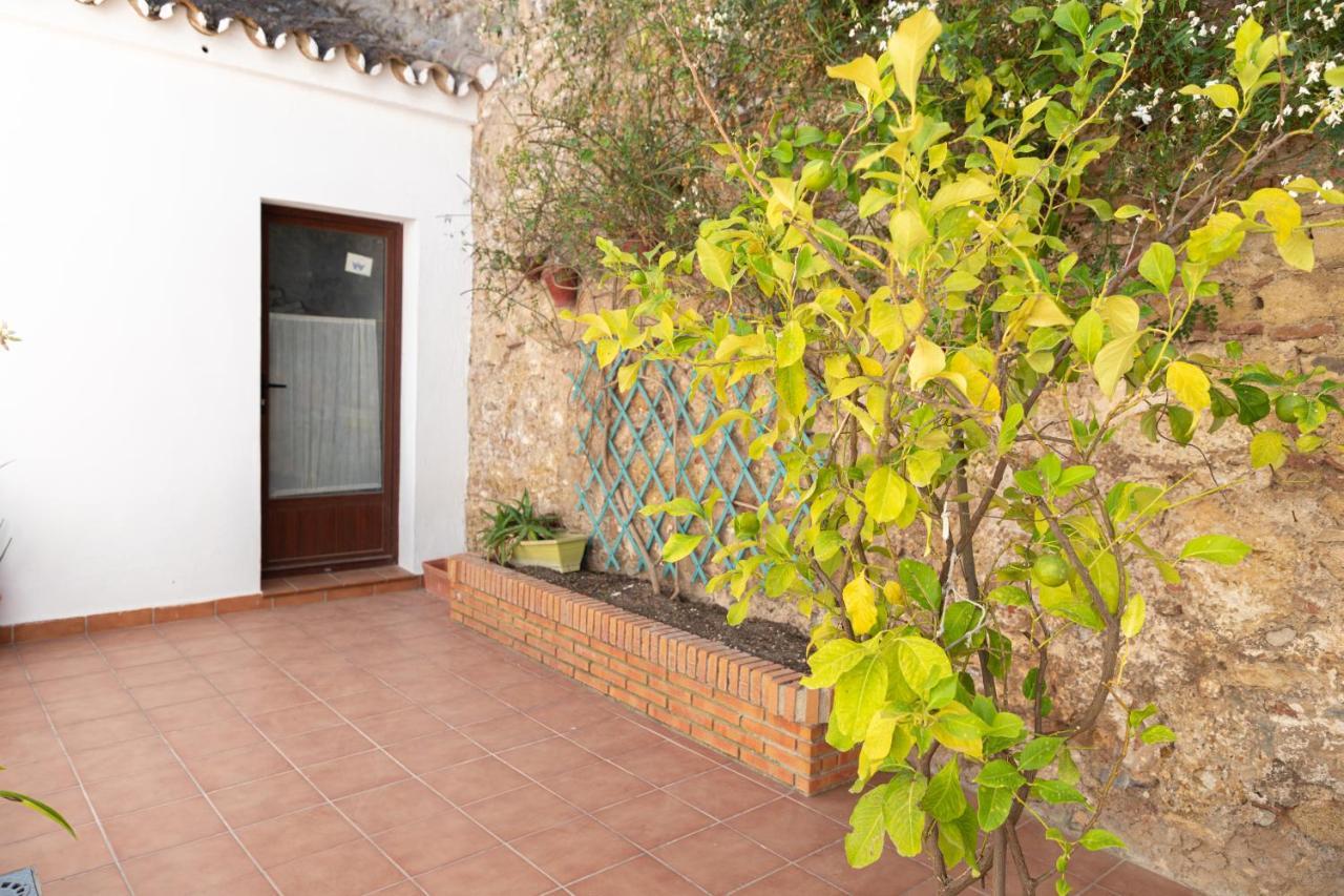 Casa Con Patio Andaluz Cerca Del Tajo De Ronda Lejlighed Eksteriør billede